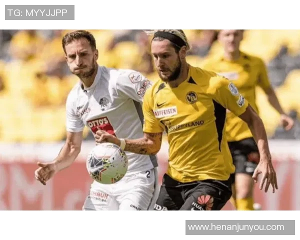 哈马比与天狼星激战正酣球迷期待精彩对决与进球盛宴