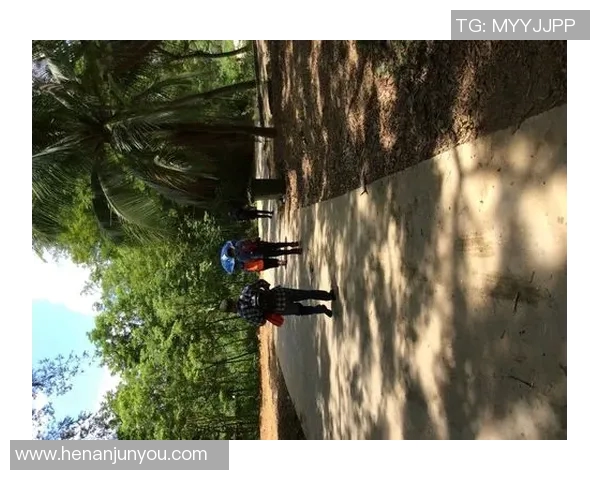 许钟豪的奋斗历程与成功秘诀揭秘，激励年轻人追梦的真实故事