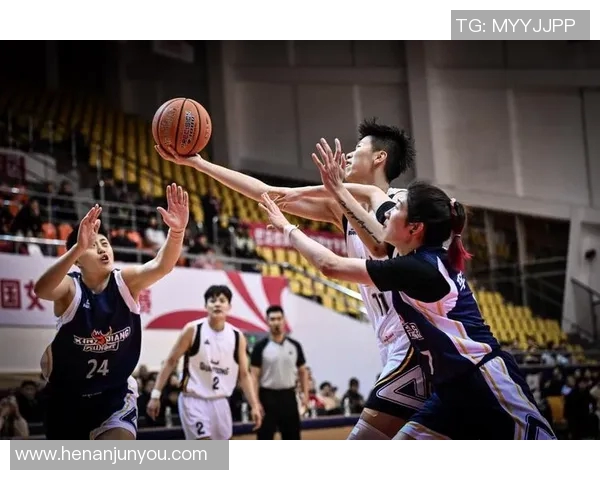 CBA精彩对决深圳队与辽宁队全场录像回顾与精彩瞬间分析