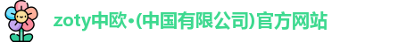 中欧体育
